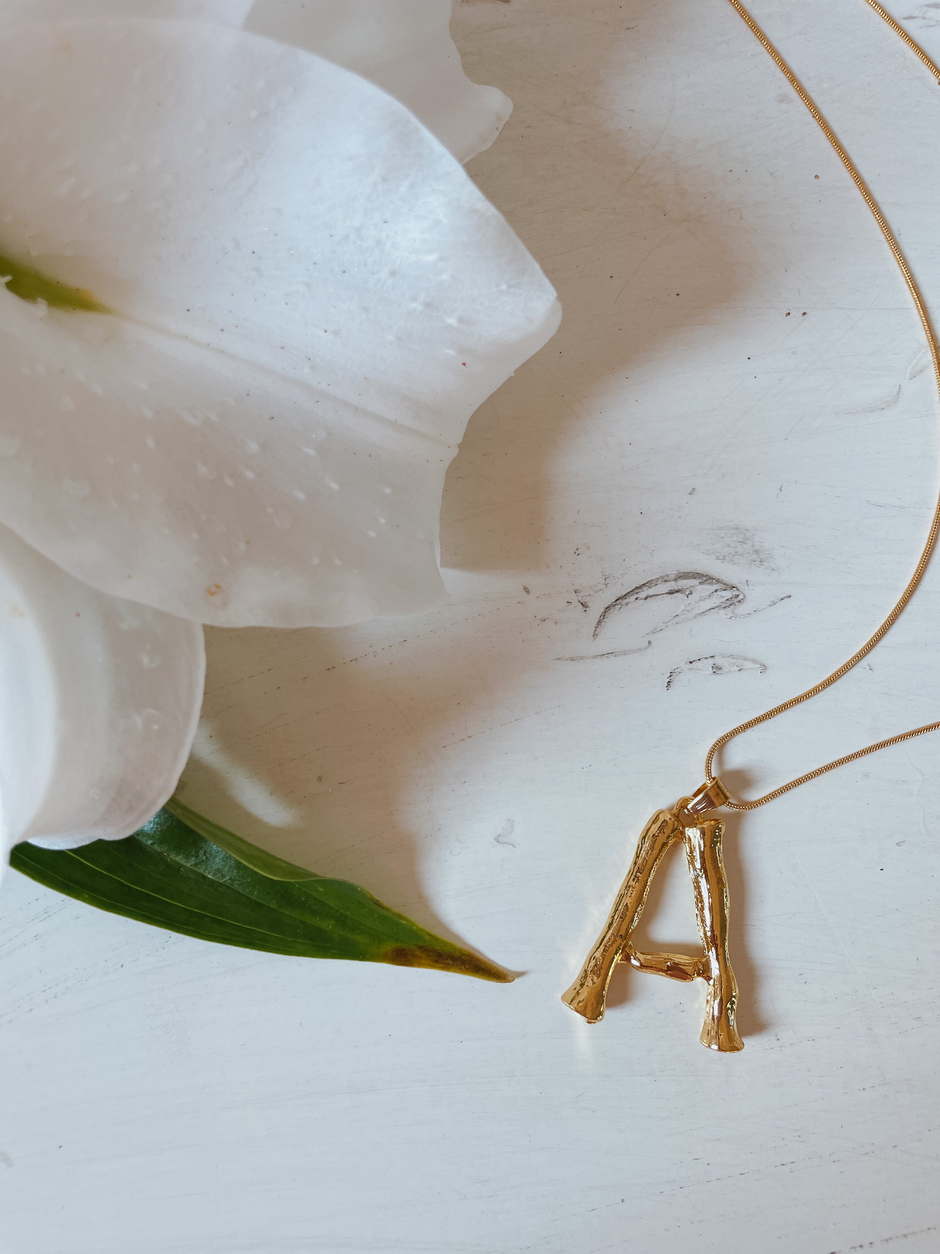 Bamboo Initial Necklace