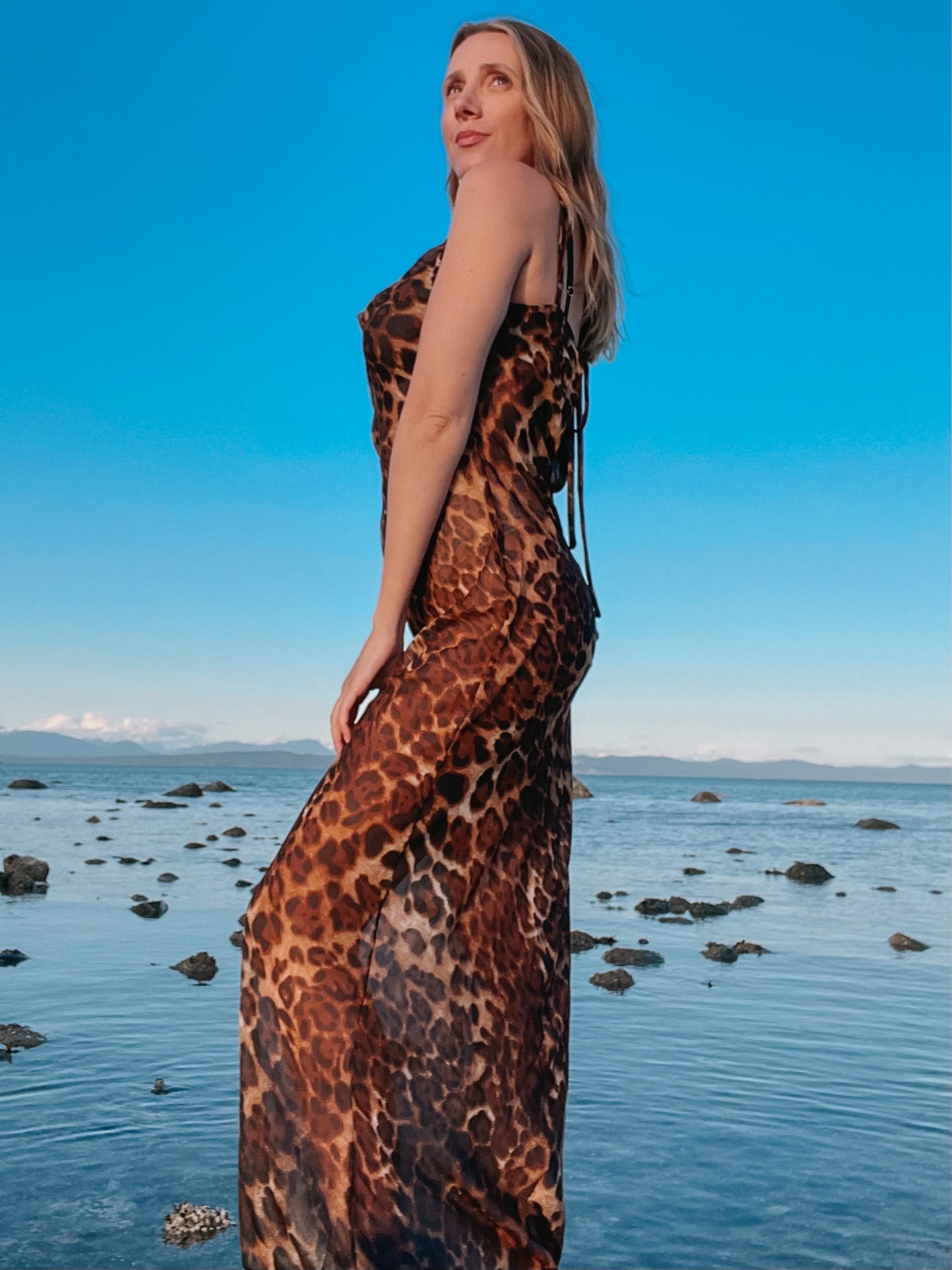Alicia Chiffon Slip Dress