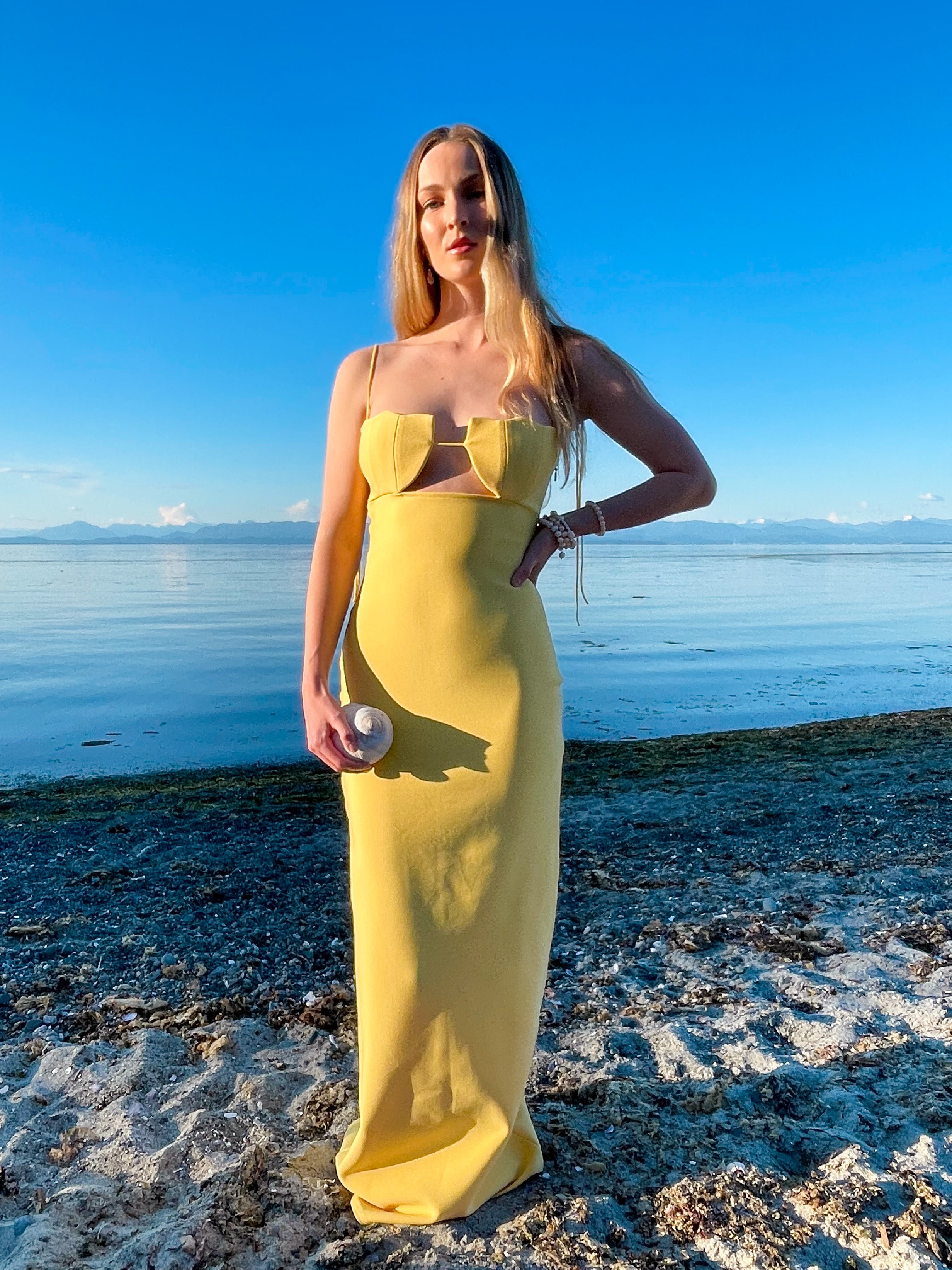 Kysa Shell Gown
