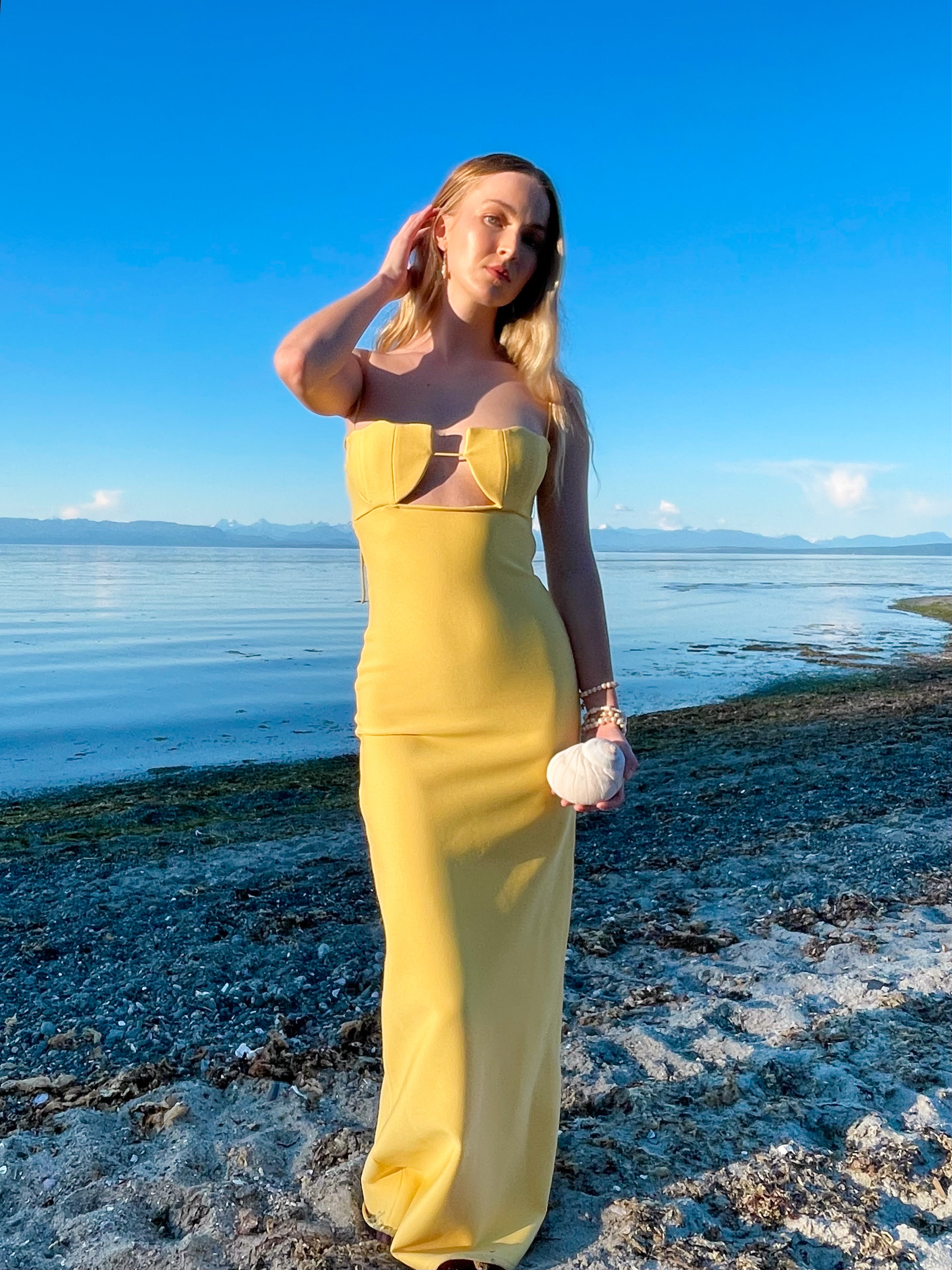 Kysa Shell Gown